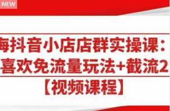 大海抖音小店店群实操课:猜你喜欢免流量玩法+截流 2.0-课程网