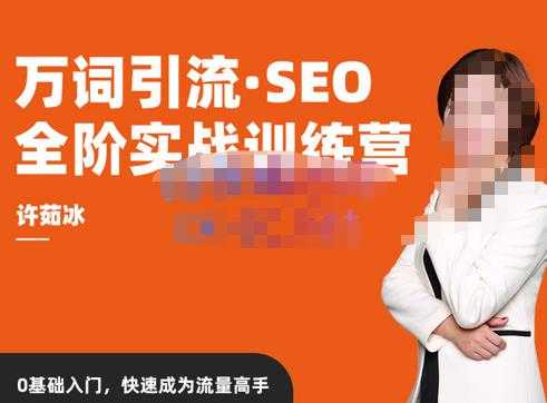 图片[1]-许茹冰·万词引流-SEO全阶实战训练营，0基础入门，快速成为流量高手-课程网